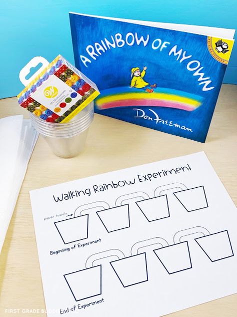 Rainbow Science Kindergarten, Rainbow Walking Water Science Experiment, Rainbow Theme Lesson Plans, Rainbow Day Kindergarten, Science Experiments Second Grade, Rainbows For Kindergarten, Science Lessons For First Grade, Walking Rainbow Experiment For Kids, First Grade Experiments