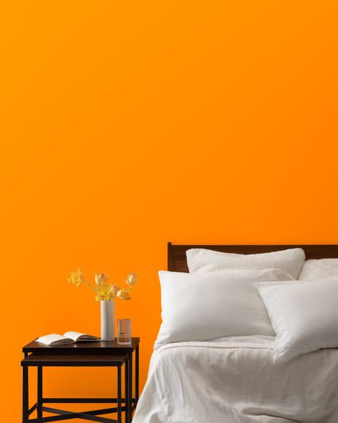 Mango Punch, Paint Color Swatches, Benjamin Moore Colors, Sharp Cheddar, Stay Inspired, Color Swatch, Make Color, Shades Of Orange, Benjamin Moore