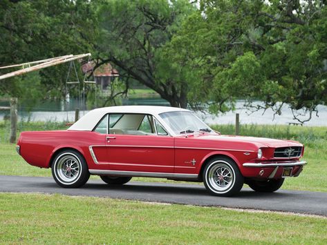 1964 Ford Mustang 260 Ready for a road trip in the states 1964 Ford Mustang, Ford Mustang Wallpaper, Mustang 1964, Ford Mustang 1964, Mustang Wallpaper, Mustang Car, 1965 Mustang, Ford Mustang Coupe, Ford Mustang Car