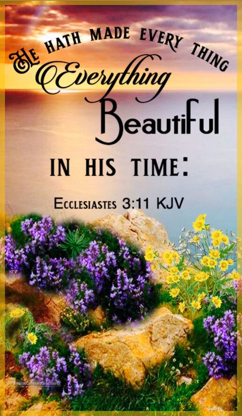 Ecclesiastes 3 11 Wallpaper, Isaiah 33, Ecclesiastes 3 11, Ecclesiastes 3, Bible Verses Kjv, Faith Journey, God's Promise, Christian Post, In His Time