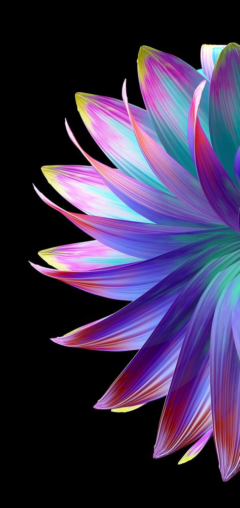 FLOWER AESTHETIC AMOLED WALLPAPER | HeroScreen - Cool Wallpapers Amoled Wallpaper, Neon Flowers, Original Iphone Wallpaper, Flowery Wallpaper, Android Wallpaper Flowers, Tapeta Galaxie, Flower Iphone Wallpaper, Cellphone Wallpaper Backgrounds, Wallpaper Nature Flowers