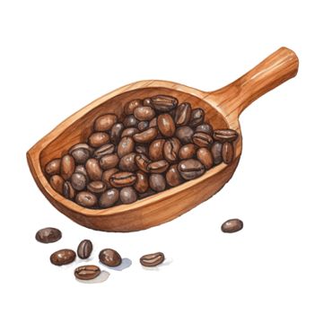 coffee,beans,seed,watercolor,painting,hand-drawn,decorative,art,draw,healthy,ingredients,caffeine,drink,cafe,grain,roasted,wooden,scoop,leaf,black,organic,heart,background,hot,cup,color,food,milk,top,natural Drink Cafe, Caffeine Drinks, Transparent Watercolor, Wooden Scoop, Watercolor Food, Bean Seeds, Roasted Coffee Beans, Roasted Coffee, Heart Background