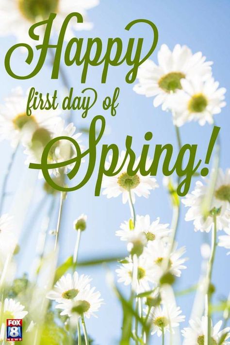 Sliding Gate Ideas, Springtime Quotes, Good Morning Hug, Happy First Day Of Spring, Good Morning Sister, Spring Entertaining, Season Quotes, Happy March, Spring Quotes