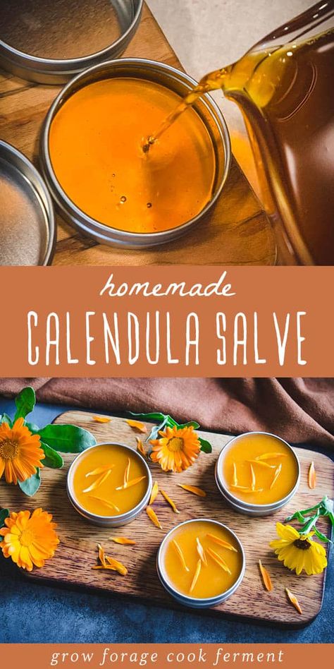 How to Make Calendula Salve & Calendula Salve Benefits - Calendula is a beautiful flower with powerful medicinal benefits. It's often used in natural remedies, salves, and creams, and is a terrific healing herb to have in your herbal medicine cabinet. Make the best use of its healing powers with this easy calendula salve. Herbalism for Beginners | DIY Herbal Self Care Lard Lotion, Diy Tinctures, Apothecary Supplies, Herbal Salve Recipes, Herbs Medicine, Herbal Medicine Cabinet, Calendula Salve, Herbal Remedies Recipes, Săpunuri Handmade