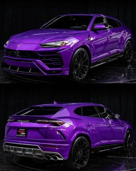 Large Cat Breeds, Luxury Things, Purple Car, Lamborghini Urus, Lux Cars, Lovely Car, Car Ideas, Super Luxury Cars, Pink Car