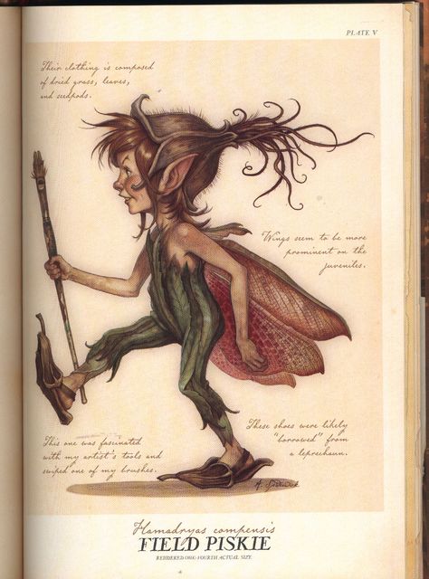 Pixie | Spiderwick Chronicles Wiki | FANDOM powered by Wikia Druid Fairy, Spiderwick Chronicles, Creaturi Mitice, Creature Fantasy, Legends And Myths, Fairies Elves, Fairytale Art, Mythical Creatures Art, Mythological Creatures