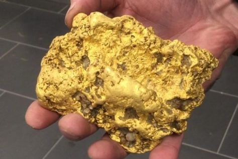 Massive Gold Nugget Found by Lucky Retiree Changes his Life Gold Reserve, Scrap Gold, Gold Prospecting, Bullet Casing, Gold Money, Gold Digger, Metal Detecting, Gold Bullion, Gold Mining