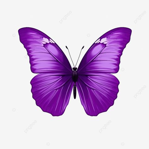 purple butterfly cute purple butterfly violet png Purple Butterfly Printable, Butterflies Images, Butterfly Violet, Diy Paper Butterfly, Butterfly Cute, Butterfly Purple, Flower Background Design, Diy Bouquet Wrap, Business Portrait Photography