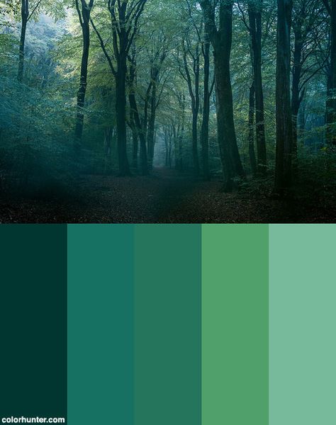 Forest Color Scheme Swamp Colour Palette, Deep Forest Color Palette, Forest Palette Color, Magical Forest Color Palette, Swamp Color Palette, Green And Blue Colour Palette, Enchanted Forest Color Palette, Forest Colour Palette, Forest Color Scheme