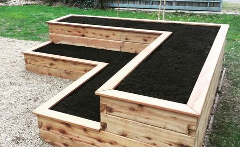 Wicking Garden Bed, Modular Raised Garden Beds, Raised Garden Beds Diy Vegetables, Garden Bed Layout, Elevated Gardening, Beds Diy, Building Raised Garden Beds, Raised Flower Beds, Vegetable Garden Raised Beds