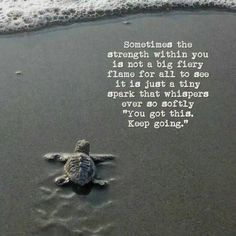 Turtle Quotes, Keep Going Quotes, Just Keep Going, Mental And Emotional Health, Motivational Quotes For Life, Uplifting Quotes, Cute Animal Drawings, True Friends, Relationships Love