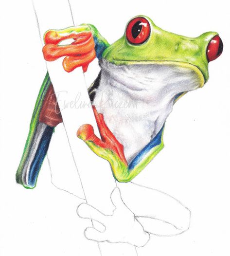 Tree Frog Drawing Easy, Frog Drawing Step By Step, Tree Frog Drawing, Drawing Ideas Colored Pencil, Draw With Colored Pencils, Draw A Frog, Tree Frog Art, Colored Pencil Drawing Tutorial, Fun Paintings