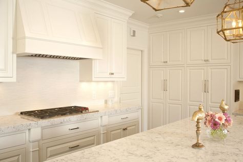 Raised Cabinets Kitchen, White Raised Panel Kitchen Cabinets, Square Raised Panel Cabinets, Cabinet Door Styles Kitchen, Raised Panel Kitchen Cabinets, Cabinetry Ideas, Panel Kitchen Cabinets, Wood Hood, Raised Panel Cabinet Doors