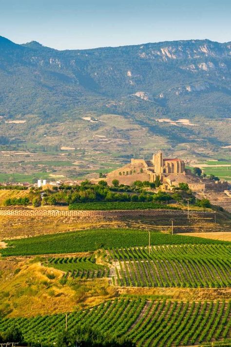 Today, the region of Rioja is highly regarded for producing some of the finest wines that can be found anywhere in the world and it remains one of the main reasons travelers love to visit this corner of Spain. 

If you’re planning on visiting this luscious corner of Spain, head to the link in our bio to discover things you may want to stick on your list to ensure you get the most out of a trip to the Rioja wine region. Rioja Wine, Property Branding, Yacht World, Korea Tourism, Wellness Travel, Wine Region, Fine Wine, Wine And Spirits, Travel Experience