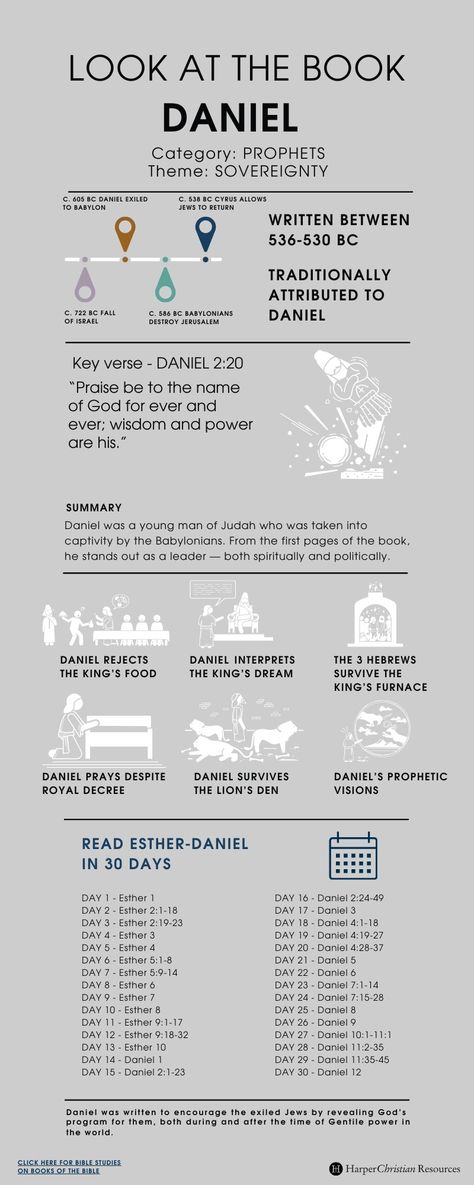 Look at the Book: Daniel [Infographic] | Bible Gateway News & Knowledge Book Of Daniel Bible Study, Daniel Bible Study, Daniel In The Bible, Job Bible Study, Daniel Bible, Scripture Plans, Prophet Daniel, Job Bible, David Bible