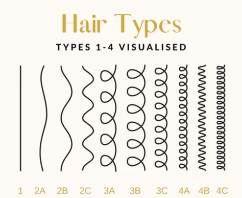 Different Hair Types Chart, Hair Types Chart, Hair Texture Chart, English Presentation, Hair Type Chart, Hair Chart, Hair Test, Hairstyle Names, Cosmetic Packaging Design