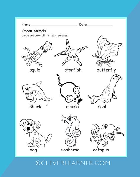 Under the sea theme worksheets for preschools. #homeschool #seacreatures #wateranimals #underthesea #preschool #worksheets http://cleverlearner.com/science/aquatic-animals-preschool-worksheet.html Water Animals Preschool, Sea Animals Preschool, Animals Live In Water, Ocean Theme Preschool, Animal Lessons, Sea Activities, Cvce Words, Animal Worksheets, Kids Worksheets Preschool