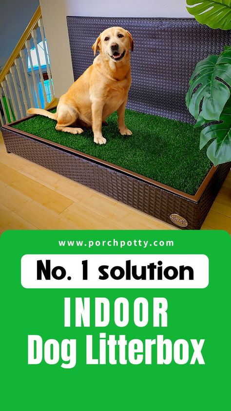 Indoor Potty Area For Dogs, Potty Area For Dogs, Potty Training Dogs, Porch Potty, Dog Potty Area, Indoor Dog Potty, Dog Litter Box, Dog Potty Training, Dog Potty