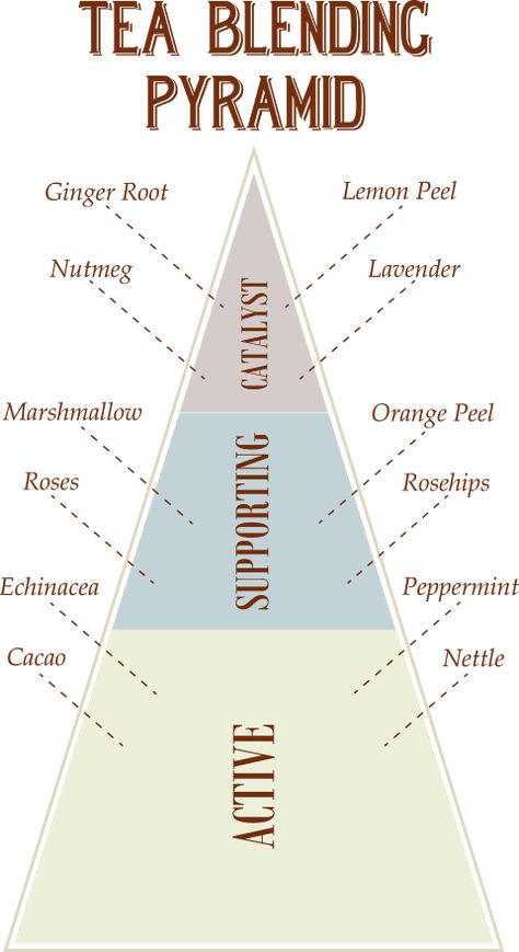 Mountain Rose Herbs Tea Blending Pyramid Guide To Tea, Tea Blending, Tea Blends Recipes, Teas Recipes, Herbal Tea Garden, Mountain Rose Herbs, Homemade Tea, Herbal Teas Recipes, Herbal Recipes