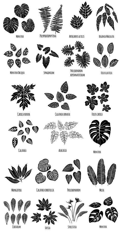 Tropical leaves Jungle Plants Tattoo, Tropical Plant Tattoo Sleeve, Monstera Arm Tattoo, How To Draw Tropical Leaves, Tropical Foliage Tattoo, Monstera Leaves Tattoo, Flowers And Leaves Tattoo, Alocasia Tattoo, Leaves Tattoo Sleeve