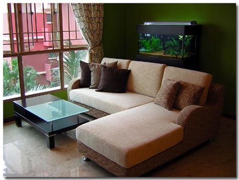 Behind Couch, Aquariums, Fish Tank, New Homes, Couch, Fish, Sofa, Wood, Furniture