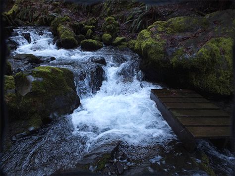 gif waterfalls | GIF Waterfall | JER Photography Waterfalls Gif, Waterfall Gif, Fishing Pond, Waterfall Pictures, Wallpaper Aesthetics, Summer Scenes, Pool Waterfall, Water Fall, Water Falls