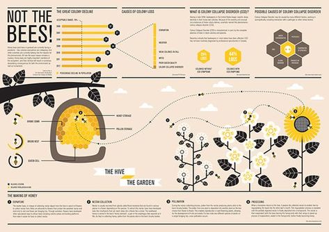 Photoshop Illustration Tutorial, Infographic Ideas, Infographic Inspiration, Research Poster, Data Visualization Design, Editorial Design Layout, Graphic Design Infographic, Infographic Poster, Bee Farm