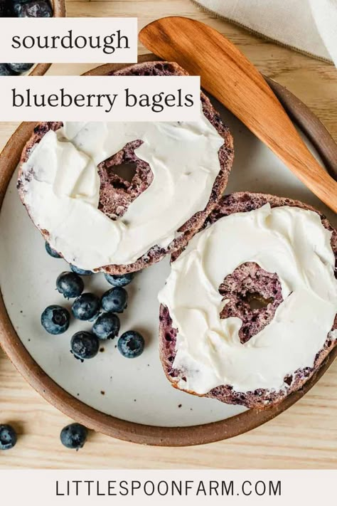 Blueberry Sourdough Bagels Easy Overnight Sourdough, Blueberry Sourdough, Blueberry Bagels, Sourdough Blueberry, Puree Pumpkin, Overnight Sourdough, Stand Mixer Recipes, Sourdough Pumpkin, Blueberry Bagel