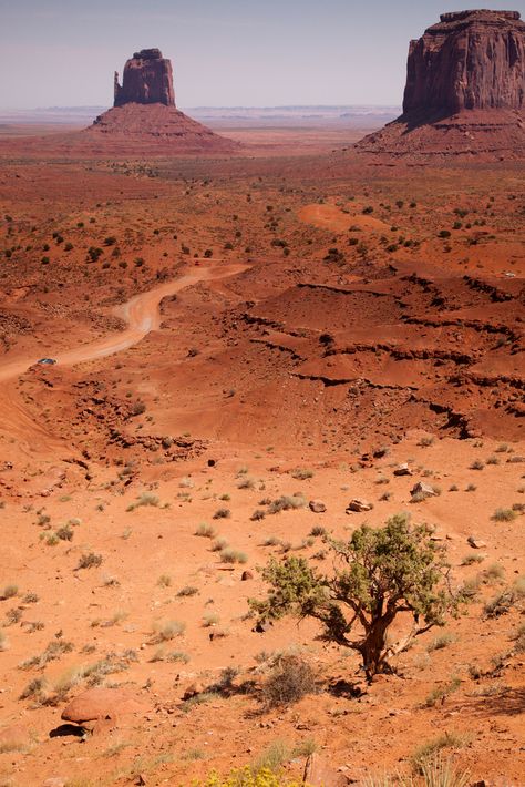 Pinterest: •Sofi Fernández• Monument Valley Arizona, Into The West, Fantasy Maps, Lone Tree, Dirt Road, Rock Formations, Desert Landscaping, Road Trip Usa, Beautiful Photography