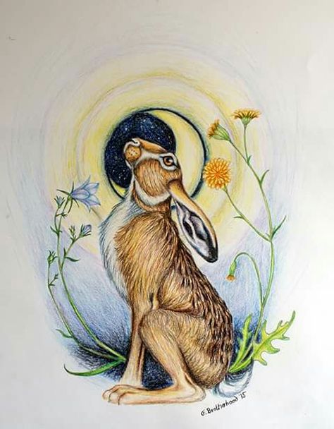 Moon gazing hare Moon Gazing Hare Tattoo, Hare Tattoo, Pagan Music, Hare Drawing, Hare Pictures, Hare Watercolour, Hare Illustration, Moon Gazing Hare, Bunny Artwork