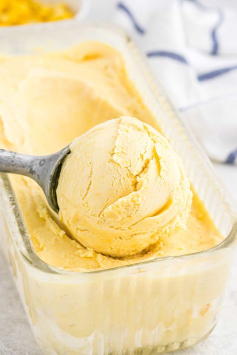 This creamy and rich ice cream is made with sweet summer corn, vanilla and rich sour cream creating the perfect smooth texture. Apricot Ice Cream, Pumpkin Ice Cream Recipe, Corn Ice Cream, Pumpkin Ice Cream, Mango Ice Cream, Dessert Aux Fruits, Coconut Ice Cream, Summer Ice Cream, Summer Corn