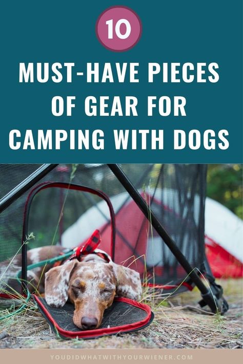 Dog Camping Gear, Camping With Dogs, Essential Camping Gear, Pet Camping, Camping Set Up, Best Camping Gear, Camping Set, Camping Guide, Dog Camping