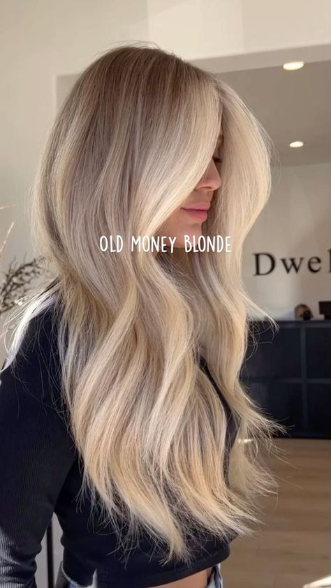 Classic Summer Hair Color, Platinum Hair Tan Skin, Blond Hair Colour Ideas, Natural Blonde Hair Styles, Brown Hair Inspiration Highlights, Creme Hair Color, Golden Blonde Vs Cool Blonde, Balayage Hair Blonde Fall, Blonde Tip Out