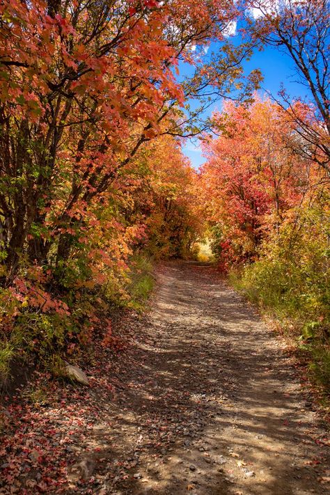 Bear Lake Idaho, Bear Lake Utah, Season Of Change, Idaho Falls, Autumn Scenes, Bear Lake, Autumn Scenery, Autumn Beauty, Explore Nature