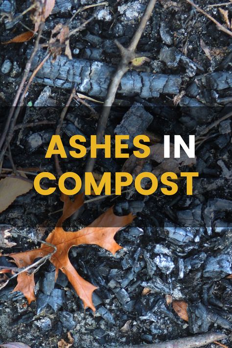 Ashes In Your Compost? What Are The Dos and Don'ts. There are a few tricks for you to know when and how to use ashes as fertilizer or put ashes in your compost. Are ashes good for plants? Can I put wood ash in my compost? Are ashes good for soil? Dive into this article to find these answers. #ash #ashes #compost #composting #ashesincompost #compostpile #vermiculture #vermicomposting #bokashi #organic #healthysoil #woodash #compost101 Ash For Garden, Compost Storage, Vermicomposting Worm Farm, Diy Fertilizer, Composting 101, Interesting Plants, Compost Tumbler, Healthy Soil, Composting Process