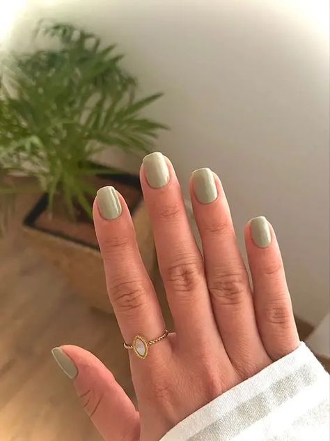 The Hottest Nail Trends for 2024 - Winky Pink Short Acrylic Nails 1 Color, Nail Colours For Light Skin, Solid Colour Gel Nails Short, Short Nails Plain Simple, Short Nails Biab Designs, Short Khaki Nails, Gel Nails Light Green, One Colour Nails Short, Short Matcha Green Nails