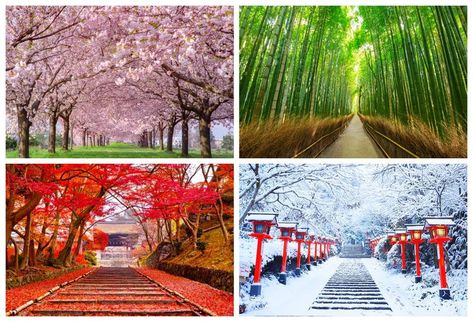 春夏秋冬 (shunkashūtō or haru-natsu-aki-fuyu) refers to the different seasons of “spring, summer, fall, winter.” A season is a period of the year that is distinguished by a special climate condition. Each season has it own specific patterns of light, weather & temperature that occur repeated annually. The four seasons — spring, summer, autumn, and winter — follow one another regularly. Knowing which […] The post How to say Winter,Summer,Spring and Autumn Summer In Japan, The 4 Seasons, Japan Travel Destinations, Visit Kyoto, Japan Winter, Fun Walk, Japan History, Japanese History, Japan Trip