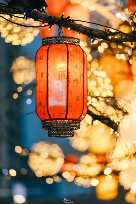 Lantern Wallpaper, Wedding Lantern, Chinese Lantern Festival, Asian Cards, Chinese Aesthetic, New Year Art, Sky Lanterns, Japanese Lanterns, Cute Backgrounds For Phones