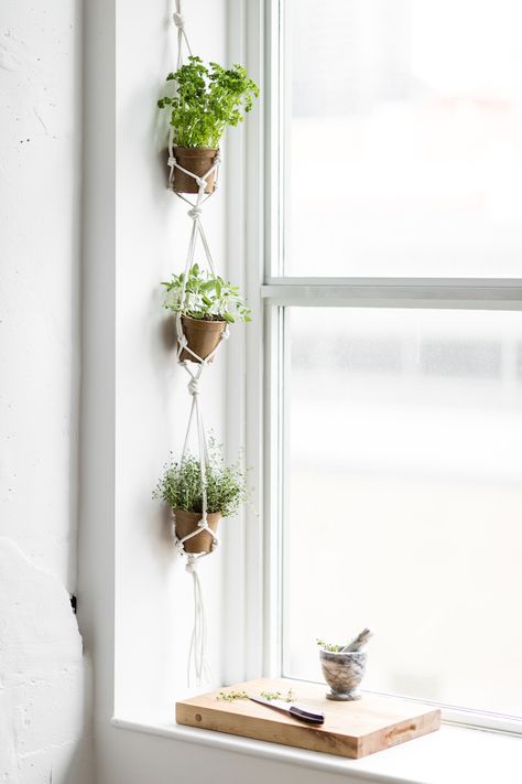 Dekorasi Bohemia, Herb Garden Ideas, Hanging Herb Garden, Tanaman Indoor, Hanging Herbs, Jardim Diy, نباتات منزلية, Hanging Plants Indoor, Decoration Plante