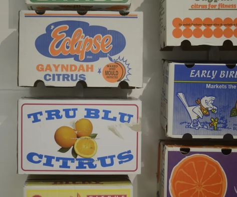 Cartonography art – around Australia in fruit and vegetable boxes | Art and design | The Guardian Vegetable Box Design, Vintage Fireworks, Veggie Box, Vegetable Boxes, Fruit Packaging, Fruit Box, Like Art, Fruit And Veg, Vintage Box