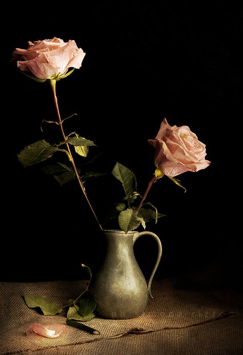 Rose Still Life, Roses Growing, Still Life Pictures, Roses Book, Iris Painting, Rose Oil Painting, Still Life Images, Still Life Flowers, Still Life Photos