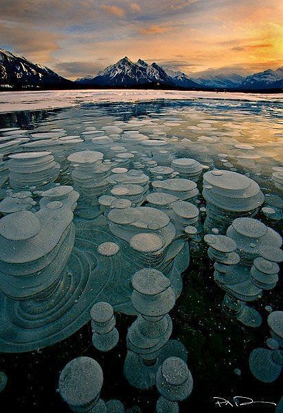 Abraham Lake, Canada Dreamlike Landscape, Frozen Bubbles, Abraham Lake, Matka Natura, Belle Nature, Frozen Lake, Alberta Canada, Pretty Places, Science And Nature