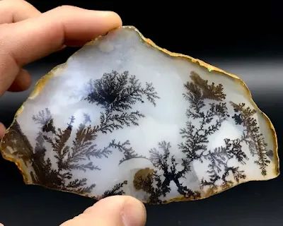 Dendritic Agate Types Of Agate, Agate Rocks, Andara Crystal, Dendrite Agate, Fractal Patterns, Cool Rocks, Dendritic Agate, Minerals And Gemstones, Rocks And Gems