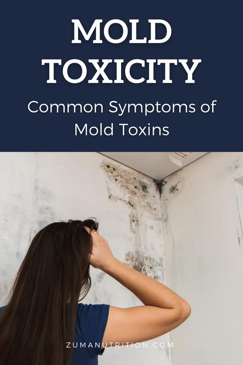 While not all molds are harmful, certain types of mold can release toxins that can have adverse effects on human health. Mold exposure can lead to various symptoms, collectively known as "mold toxin symptoms" or "mold toxicity symptoms." Mold Sickness Symptoms, Mold Toxicity Symptoms, Toxic Mold Symptoms, Mold Toxicity, Mold Exposure, Toxic Mold, Types Of Mold, Mold And Mildew, Molding