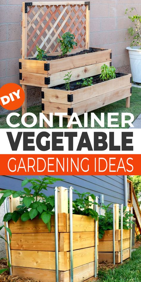 We'll show you just how to grow vegetables in containers, which vegetables grow best in pots, and creative container gardening ideas for your vegetables and herbs. Gardening Planters Ideas, Creative Container Garden Ideas, Herb Tips, Container Vegetable Gardening, Container Vegetable Garden, Garden Container Ideas, Vegetable Gardening Ideas, Raised Container Garden, Start A Vegetable Garden