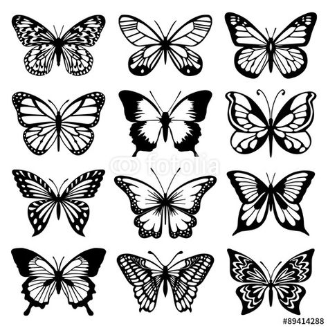 Vector: Butterfly Vector Set فن الرسم بالمسامير, Butterfly Tattoo Stencil, Butterfly Vector, Butterfly Outline, Kunst Tattoos, Tattoo Templates, Butterfly Tattoos, Tattoo Stencil Outline, Butterfly Tattoo Designs