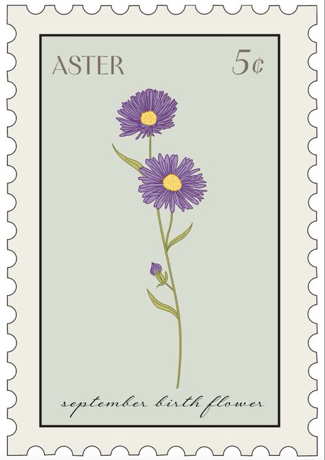 Aster Flower Embroidery, Aster Line Drawing, September Birth Flower Tattoo Aster, Aster Flower Drawing, Birth Flower September, September Birth Flower Aster, September Tattoo, September Birth Flower Tattoo, Aster Flower Tattoo