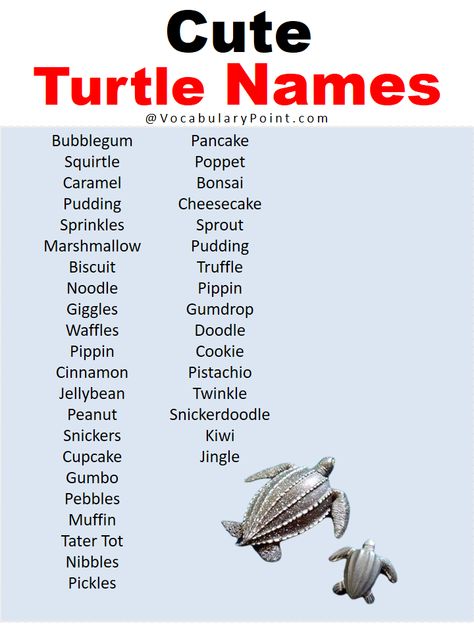 Turtles are fascinating creatures that have been around for millions of years. With their slow and steady pace, they have become a symbol of resilience ... Read more The post Best Turtle Names in English appeared first on Vocabulary Point. Tortoise Name Ideas, Turtle Names Ideas, Pet Turtle Names, Names For Turtles, Ninja Turtles Names, Fish Names, Turtle Names, Land Turtles, Cute Tortoise