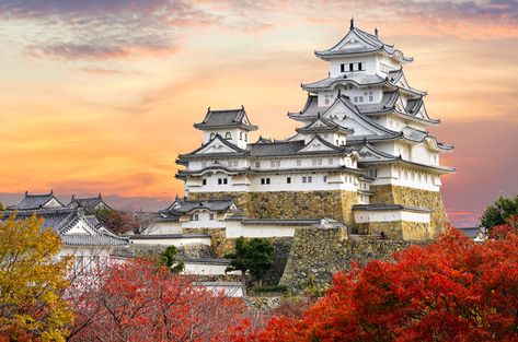 Japan Visit, Himeji Castle, Thatched House, Japanese Flag, Visit Tokyo, Japanese Castle, Trip To Japan, Hyogo, Red Maple