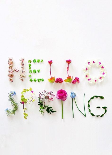 93+Spring+Quotes+Youre+Going+To+Love+Immediately+47 Hello Spring Quotes, Flower Words, Spring Quotes, Spring Equinox, First Day Of Spring, Welcome Spring, Spring Aesthetic, Happy Spring, Spring Has Sprung